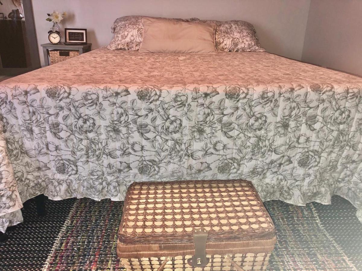 Private And Secluded Studio In Little Havana - 6V Miami Ngoại thất bức ảnh